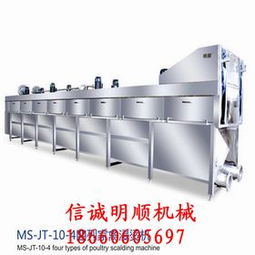 家禽 人类餐桌上的重要伙伴